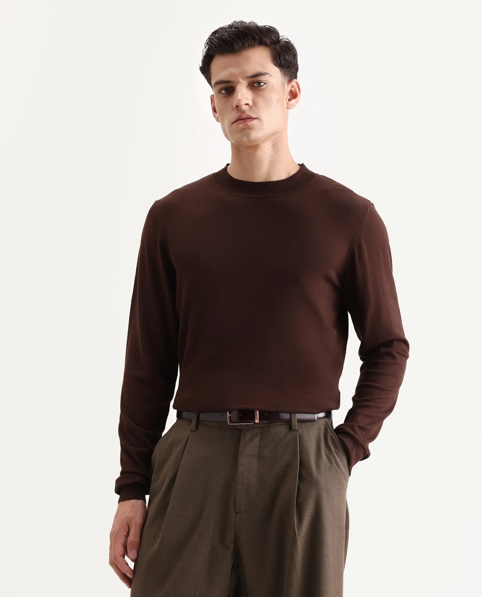 Rare Rabbit Men's Alva Dark Brown Viscose Plain Regular Fit Full Sleeve High Neck Sweater