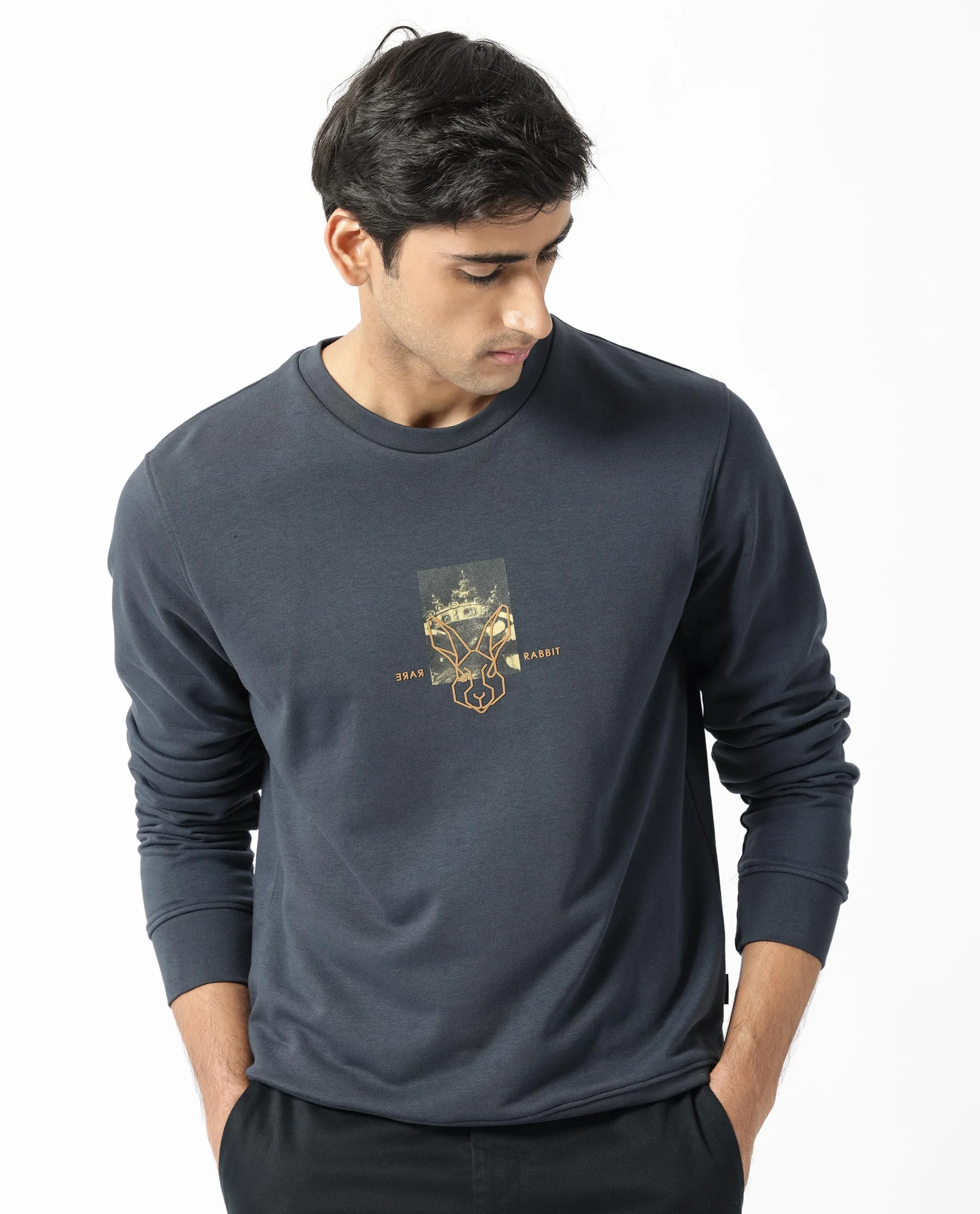 Rare Rabbit Men's Belmontt Grey Cotton Graphic Print Regular Fit Full Sleeve Crew Neck Sweatshirt