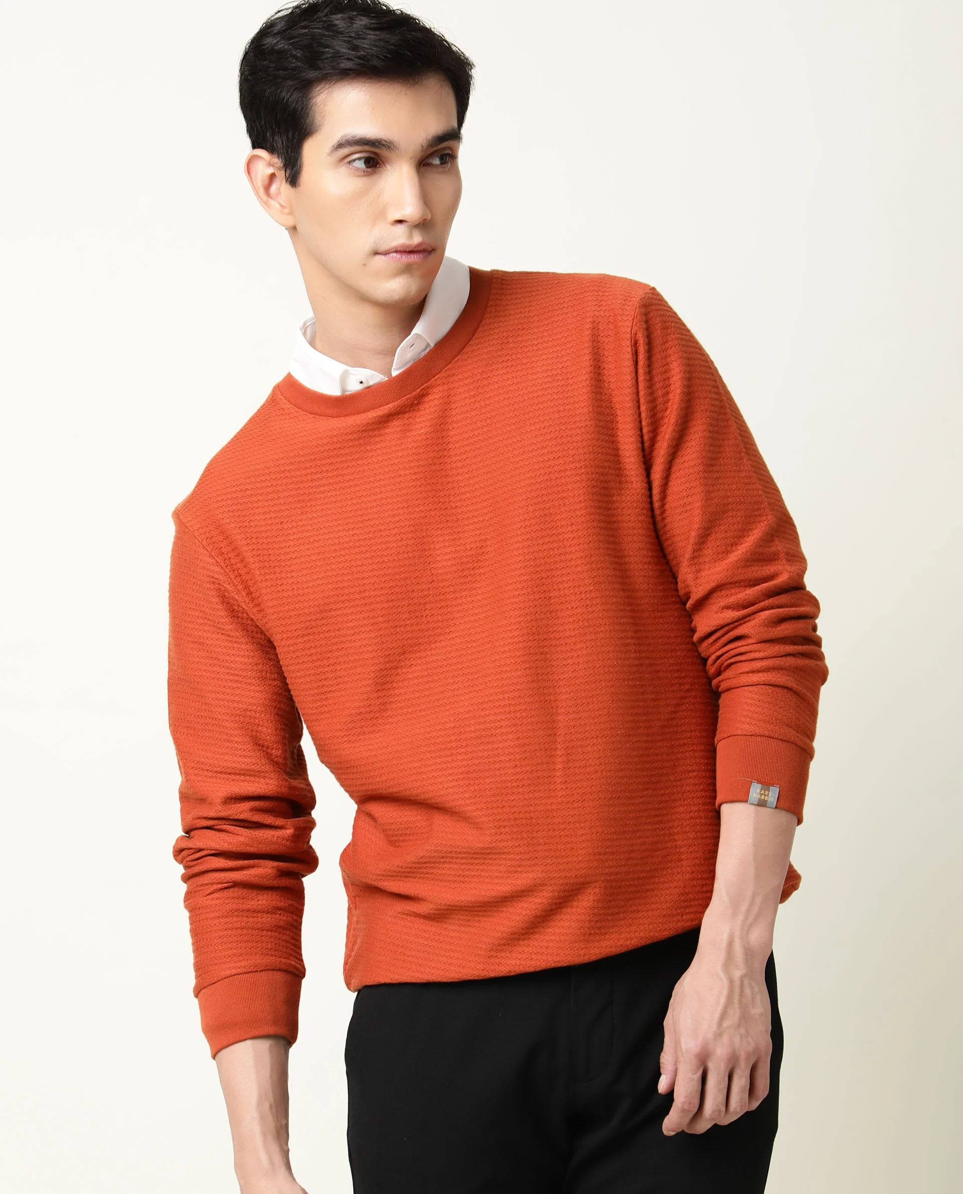 Rare Rabbit Men's Earl Rust Cotton Textured Regular Fit Full Sleeve Crew Neck Sweatshirt