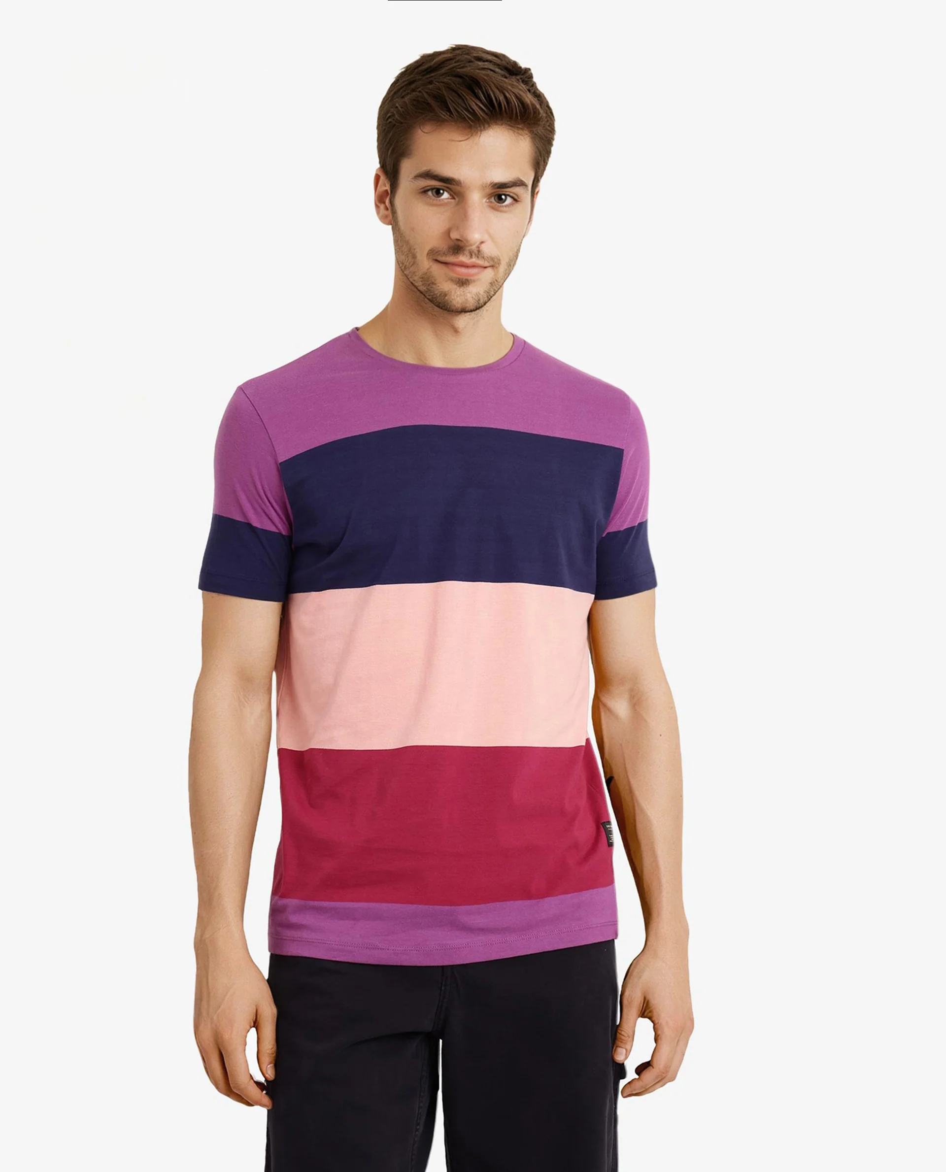 Rare Rabbit Men's Lemar Purple Cotton Ombre Slim Fit Half Sleeve Crew Neck T-Shirt