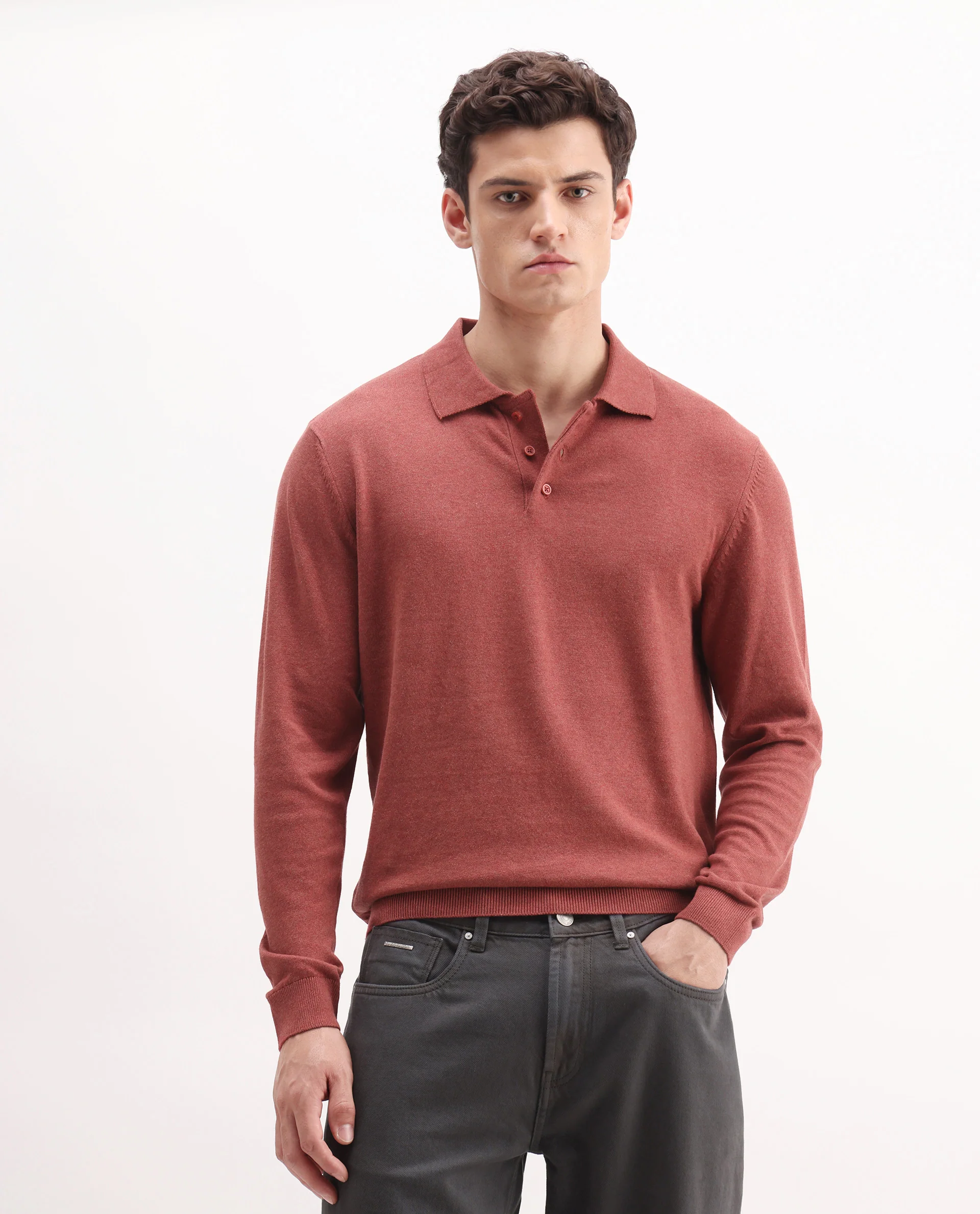 Rare Rabbit Men's Pyer-25 Rust Cotton Blend Fabric Collared Neck Regular Fit Plain Polo - Image 5